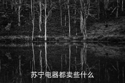 蘇寧電器，蘇寧電器為什么叫蘇寧電器