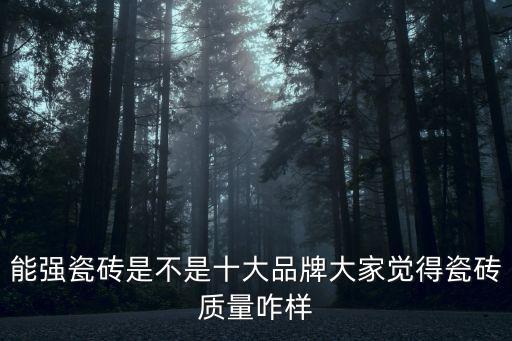 能強(qiáng)瓷磚是不是十大品牌大家覺得瓷磚質(zhì)量咋樣