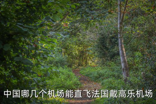 中國哪幾個機(jī)場能直飛法國戴高樂機(jī)場