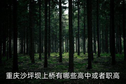 上橋中學(xué)，重慶上橋中學(xué)讀書要借讀費(fèi)嗎