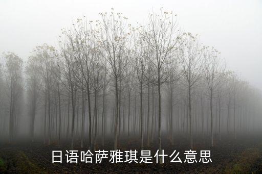 哈薩雅琪，日語哈薩雅琪是什么意思