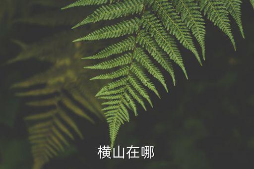東橫山，南京溧水區最高的山是哪座山海拔多少
