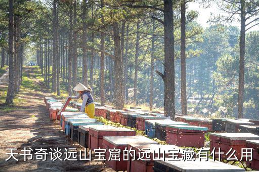 天書奇談遠(yuǎn)山寶窟的遠(yuǎn)山寶藏有什么用