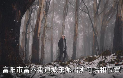 富陽(yáng)市富春街道城東派出所電話和位置