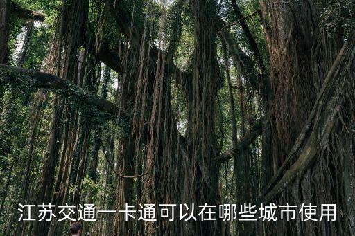 江蘇交通一卡通可以在哪些城市使用