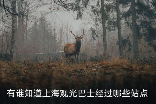 有誰(shuí)知道上海觀光巴士經(jīng)過(guò)哪些站點(diǎn)