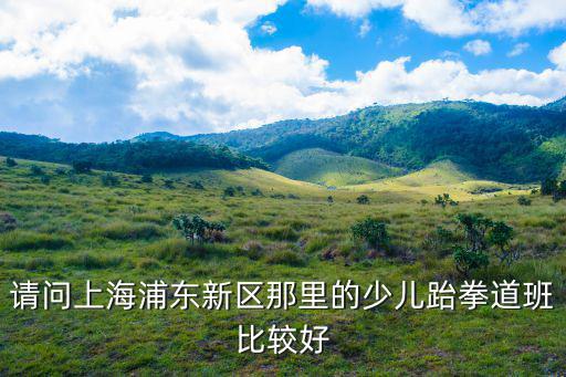 請問上海浦東新區那里的少兒跆拳道班比較好