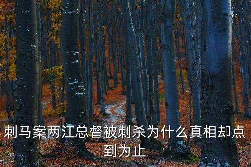 刺馬案兩江總督被刺殺為什么真相卻點(diǎn)到為止