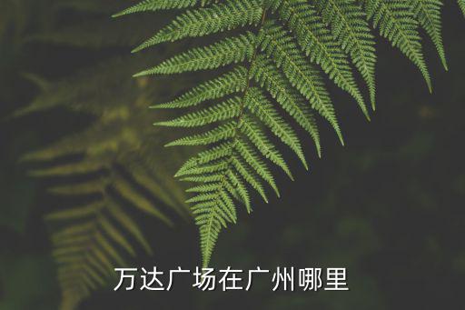 萬達(dá)廣場在廣州哪里