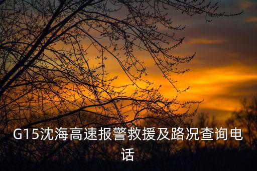 g15高速，上海g15限重嗎