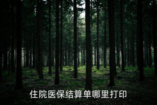 醫保結算清單，住院醫保結算單哪里打印