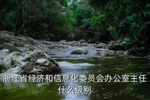 浙江省經信委，浙江省經貿委主任是什么級別的干部