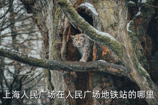 人民廣場，在人民廣場哪里