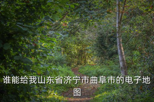 誰能給我山東省濟寧市曲阜市的電子地圖