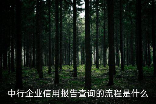企業信用報告，什么是企業信用報告