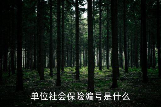 單位社會保險編號是什么