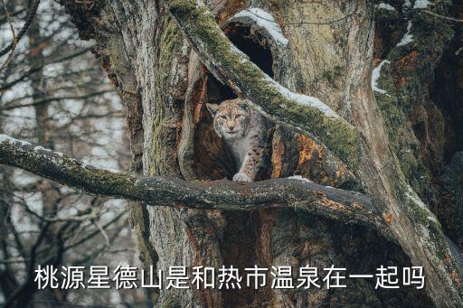 桃源溫泉，桃源星德山是和熱市溫泉在一起嗎