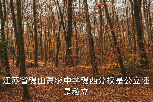 江蘇省錫山高級中學錫西分校是公立還是私立