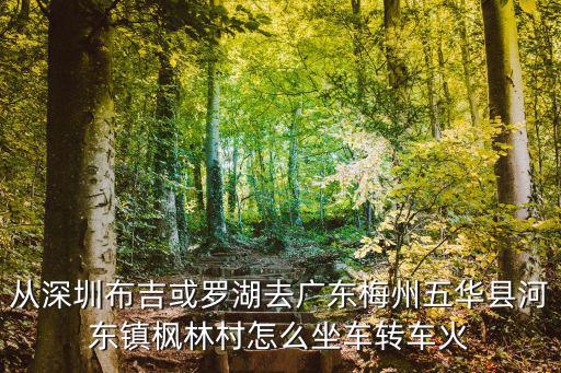 從深圳布吉或羅湖去廣東梅州五華縣河東鎮楓林村怎么坐車轉車火