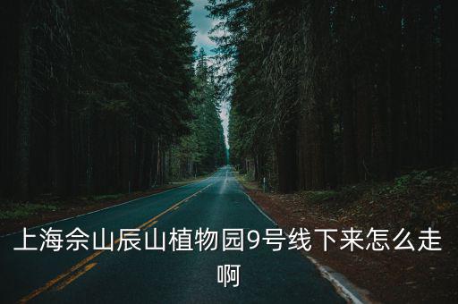上海佘山辰山植物園9號線下來怎么走啊