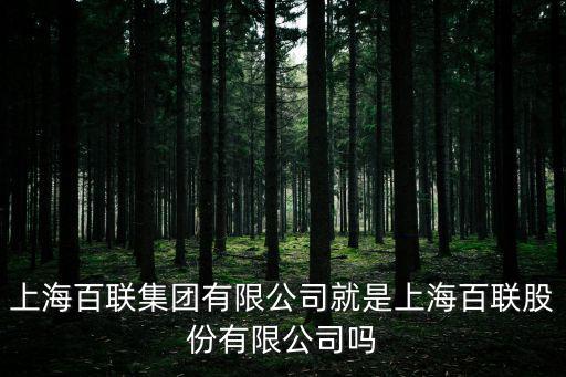 上海百聯集團有限公司就是上海百聯股份有限公司嗎