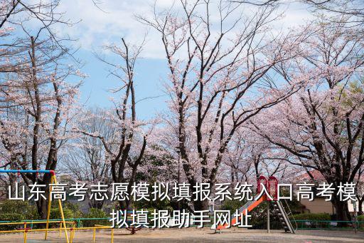 高考志愿模擬填報系統，湖北高考志愿模擬填報系統入口高考模擬填報助手網址