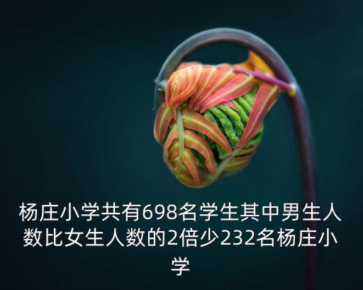 楊莊小學，壽光市羊口鎮(zhèn)楊莊小學副校長是誰