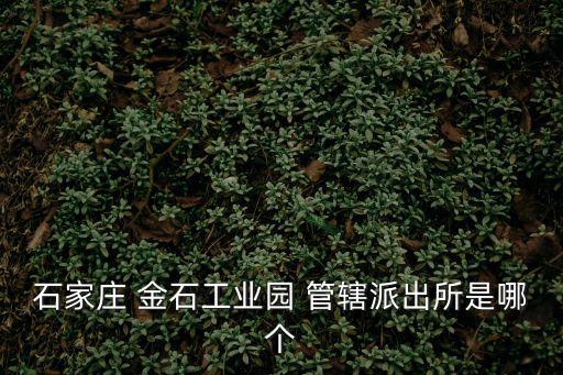 工業(yè)園區(qū)派出所，石家莊 金石工業(yè)園 管轄派出所是哪個(gè)