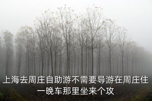 上海去周莊自助游不需要導游在周莊住一晚車那里坐來個攻