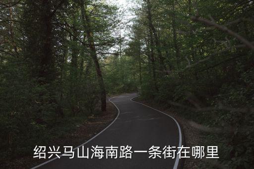 紹興馬山海南路一條街在哪里