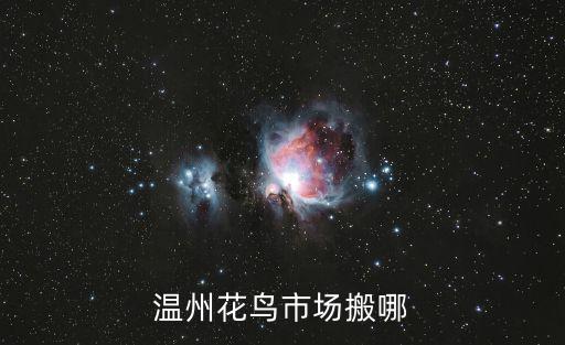溫州花鳥市場搬哪