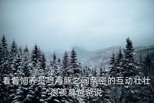 看著飼養員與海豚之間親密的互動壯壯很羨慕爸爸說