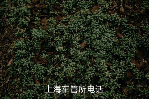 上海車管所地址，上海車管所地址