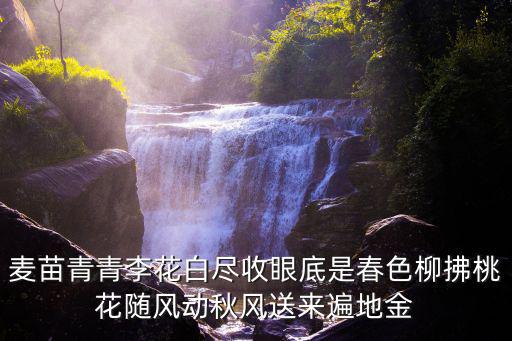 李花白，例李花白的如同雪一樣仿寫句子杜鵑花什么什么什么