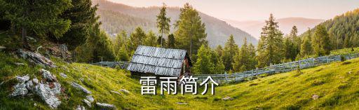 雷雨簡介，雷雨主要內容及概括