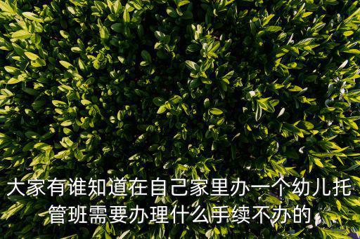 幼兒托管，大家有誰知道在自己家里辦一個幼兒托管班需要辦理什么手續不辦的
