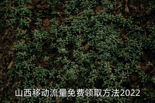 移動(dòng)流量領(lǐng)取，山西移動(dòng)流量免費(fèi)領(lǐng)取方法2022