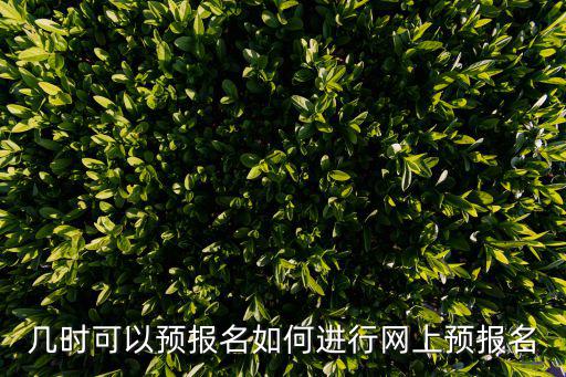 網上預報名，網上預報名是什么意思