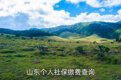 山東個人社保繳費(fèi)查詢