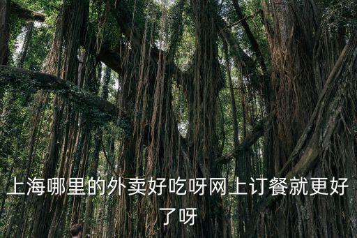 上海訂餐，上海外賣訂餐的外賣美食可以叫外賣最好可以網上訂餐的