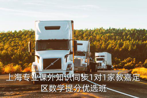 嘉定教育網，上海中小學優質精品課程班 高中學科一對一興趣班