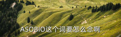 ASOBIO這個(gè)詞要怎么念啊