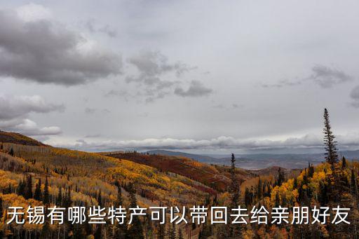 無錫有哪些特產可以帶回去給親朋好友