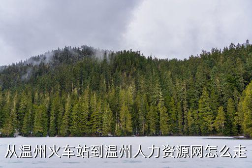 從溫州火車站到溫州人力資源網怎么走