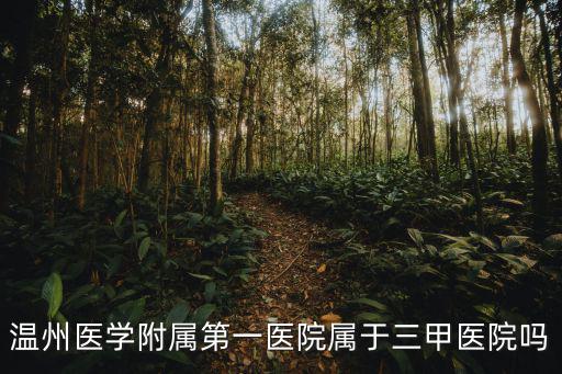 溫州醫(yī)學附屬第一醫(yī)院屬于三甲醫(yī)院嗎