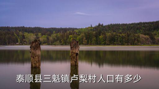 三魁鎮，泰順縣三魁鎮盧梨村人口有多少
