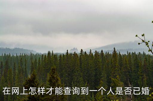 網(wǎng)上已婚未婚查詢，在網(wǎng)上怎樣才能查詢到一個人是否已婚