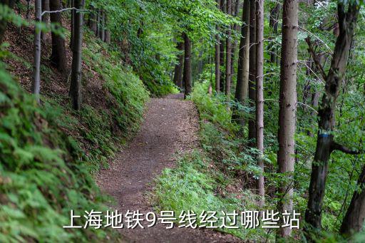 上海地鐵9號線經過哪些站