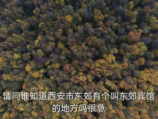 請問誰知道西安市東郊有個叫東郊賓館的地方嗎很急