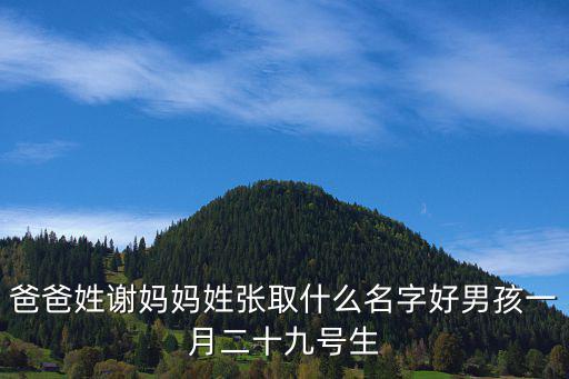 謝浩杰，爸爸姓謝媽媽姓張取什么名字好男孩一月二十九號生